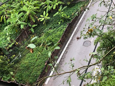 Chính chủ bán đất đại mỗ nam từ liêm 36m lô góc ô tô lùi cửa gần phố đất vuông nở hậu 6,7 1