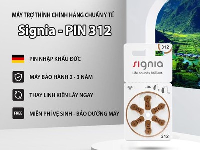 Máy trợ thính hải dương 343 1