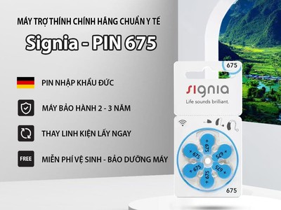 Máy trợ thính hải dương 343 3