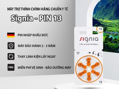 Máy trợ thính hải dương 343 2