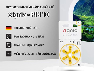 Máy trợ thính hải dương 343 4