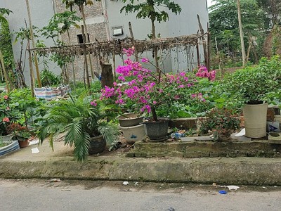 Gấp đất mặt phố phương canh,mặt tiền rộng,ngã tư phương canh   trịnh văn bô,135m,mt 8m,29.9ty 1