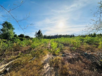 Bán 8.3 sào đất tân hà - hàm tân giá rẻ 1 tỷ chính chủ 3