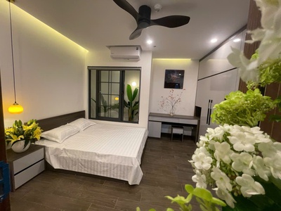 Ccmn phân lô ô tô tránh, 29p, 2 tỷ/năm,120m2x7t,t/máy,mt 6m, đẹp nhất từ liêm- cầu diễn 2