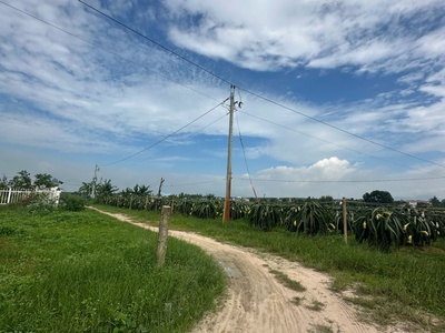 Bán 1.4 sào đất giảm 50 tân bình - lagi chỉ 1.6 tỷ phủ hồng gần biển 3