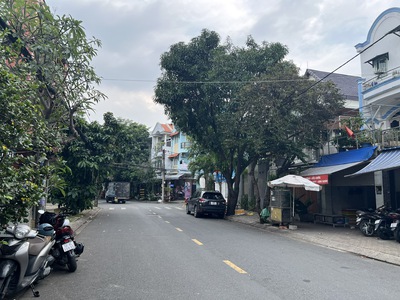 Bán đất biệt thự đường số 75 khu Tân Quy Đông Q7 2