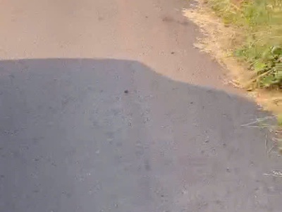 Chủ cần bán lô bình trung mt đường nhựa cách đường 765 khoảng 700m 1