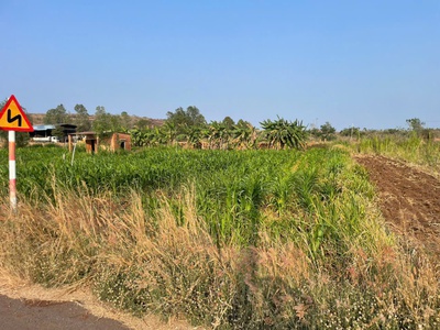 Chủ cần bán lô bình trung mt đường nhựa cách đường 765 khoảng 700m 2