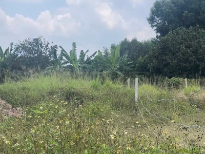 Đất đẹp - đầu tư sinh lời - chính chủ cần bán lô đất bình lợi, vĩnh cửu, đồng nai 1