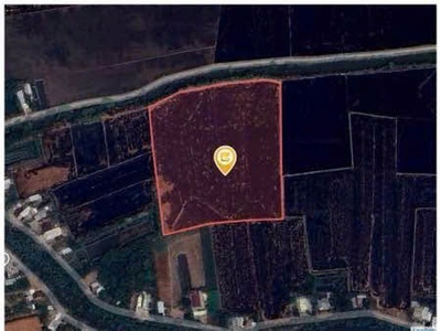 Bán đất ruộng khu vực phi thông   rạch giá   kiên giang 2