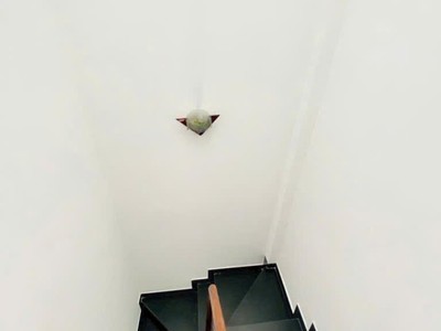 Nhà nhỏ nguyễn văn cừ   phong cách sống của người trẻ thành đạt 4