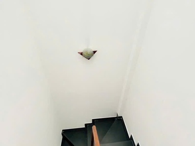 Bán nhà quận 1   nguyễn văn cừ   khẳng định đẳng cấp sống trung tâm trệt 3 lầu   3pn   4wc riêng 4