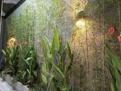 Bán nhà chính chủ hoàng văn thái thanh xuân gần phố ngõ thông thang máy50m x6t nhỉnh 15t 3