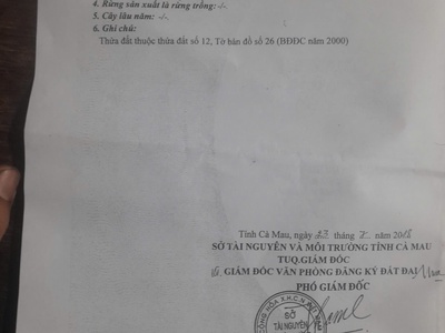 Cần  bán nhà đất chính chủ   thị trấn năm căn,tỉnh  cà mau 2