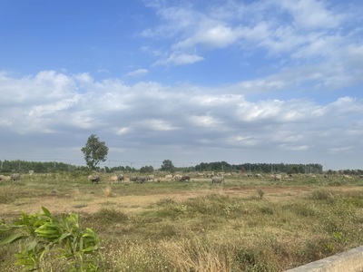 Bán đất skc 8000m2 xã hố nai 3, trảng bom, đồng nai 16t 3