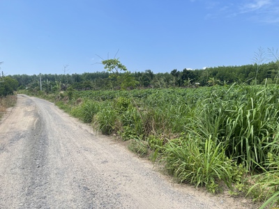 Bán đất skc 8000m2 xã hố nai 3, trảng bom, đồng nai 16t 1