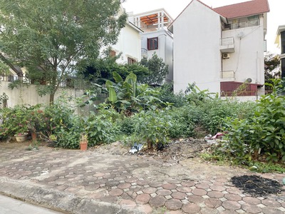 Cần bán 247m2 đất biệt thự 31ha Trâu Quỳ, Gia Lâm. Đường 13m, view hồ điều hòa 12