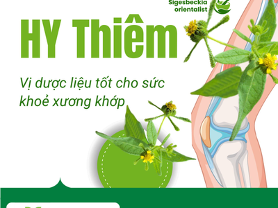 Vị thuốc quý điều trị các bệnh xương khớp 0