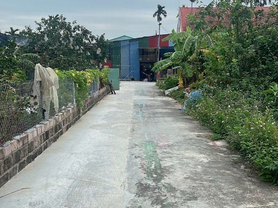 Bán Lô Đất 80m2 Đẹp Tại Thôn Hầu, Lâm Động, Thuỷ Nguyên 2