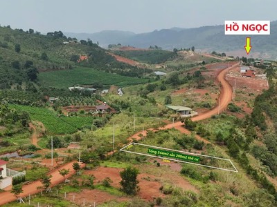  Đất Nền Đồi Đẹp Gần Hòn Đá Bảo Lâm, Đón Sóng Cao Tốc Tân Phú   Bảo Lộc 4