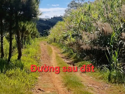  Đất Nền Đồi Đẹp Gần Hòn Đá Bảo Lâm, Đón Sóng Cao Tốc Tân Phú   Bảo Lộc 2