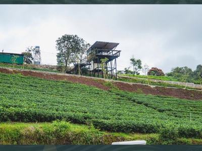  Cơ Hội Vàng Đón Sóng Hạ Tầng Bảo Lộc   Đầu Tư Sinh Lời Dài Hạn 2