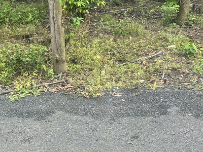 Siêu phẩm đất đẹp - vị trí đắc địa tại :  hòa hội -  xuyên mộc- tỉnh bà rịa vũng tàu 0