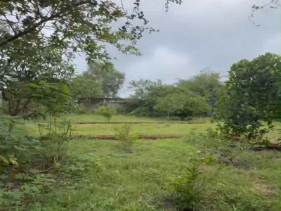 1ha đất shr hxh trung lập hạ củ chi ss 1