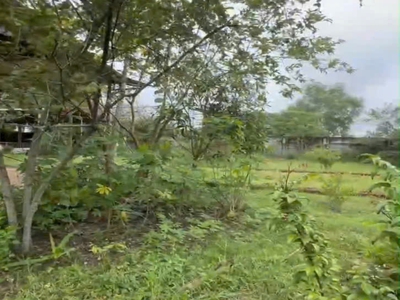 1ha đất shr hxh trung lập hạ củ chi ss 3