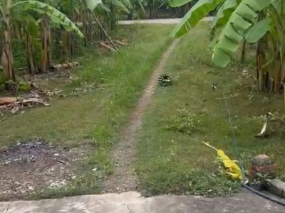 Tỉnh lộ nam dương 289 , e có lô đất nằm vị trí gọi là đẹp nhất khu vực 2