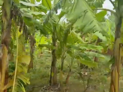 Tỉnh lộ nam dương 289 , e có lô đất nằm vị trí gọi là đẹp nhất khu vực 3