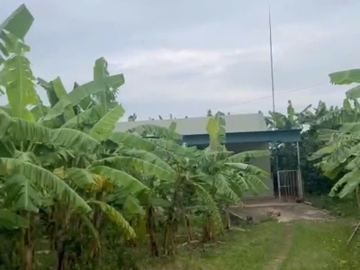 Tỉnh lộ nam dương 289 , e có lô đất nằm vị trí gọi là đẹp nhất khu vực 4