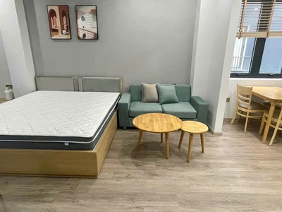 Cho thuê căn hộ 1 ngủ xịn xò giá 7tr tại KĐT Waterfront 0
