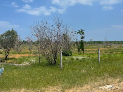 Bán gần 6 sào đất đường số 1, tân bình, lagi giảm 50 chỉ 1.14tr/m2 gần biển 3