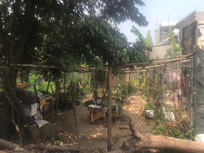 Hot hot hot chính chủ bán gấp đất đẹp - giá hợp lý 1