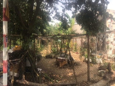 Hot hot hot chính chủ bán gấp đất đẹp - giá hợp lý 2