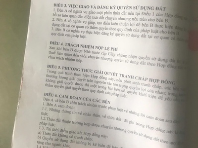 Hot hot hot chính chủ bán gấp đất đẹp - giá hợp lý 4