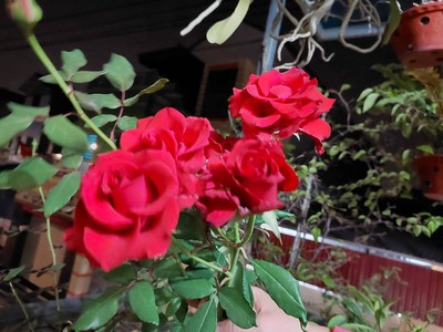 Chủ nhờ bán nhà xuân nộn 70m2, 3t, mt4.5m, 6.3 tỷ, đông anh, kd, ô tô tránh. 4