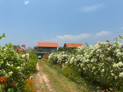 Nghỉ dưỡng đẳng cấp giữa thiên nhiên tâi Villa The Cottage Hồ Tràm Hills 0