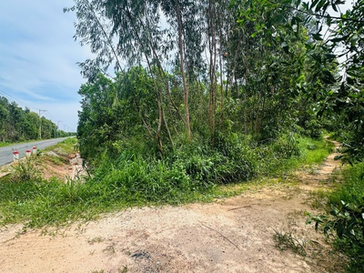 Bán 2.65 hecta đất 2 mặt tiền phạm thế hiển nd, tân bình, lagi giá đầu tư 4