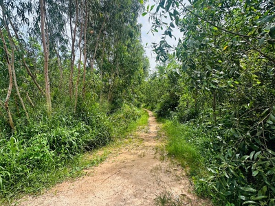 Bán 2.65 hecta đất 2 mặt tiền phạm thế hiển nd, tân bình, lagi giá đầu tư 3