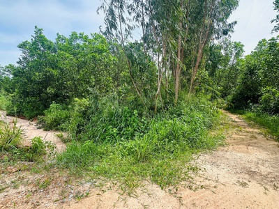 Bán 2.65 hecta đất 2 mặt tiền phạm thế hiển nd, tân bình, lagi giá đầu tư 1