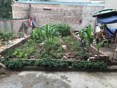 Chính chủ bán 34 m2 đất trâu quỳ, đường ô tô, giá chỉ 4.3 tỷ 1