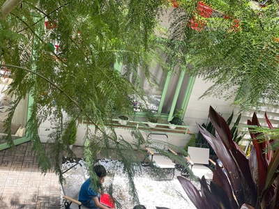 Cho thuê homestay hàn thuyên phường 5 đà lạt giá 11tr 4