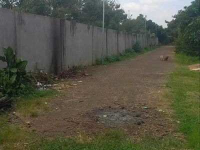 5568mv 150 thổ cư 35m mt nhựa thông 2 đầu full sầu thái , ri6 ,sẳn nhà c4 3