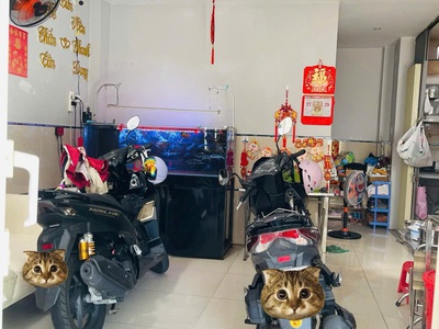 Bán Gấp Nhà 2 Mặt Tiền Hẻm Xe Hơi Bình Thới , Quận 11 3