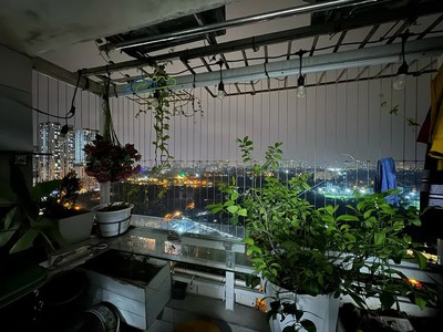 Bán căn hộ cao cấp CT5 KĐT Xa La, đường Phùng Hưng, Hà Đông. Gá 4,6 tỷ 2