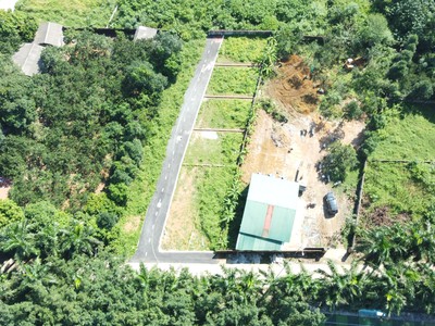 Thân gửi Quý A/C thông tin 11 LÔ HÀNG CAU 2