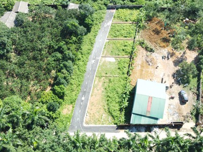 Thân gửi Quý A/C thông tin 11 LÔ HÀNG CAU 1