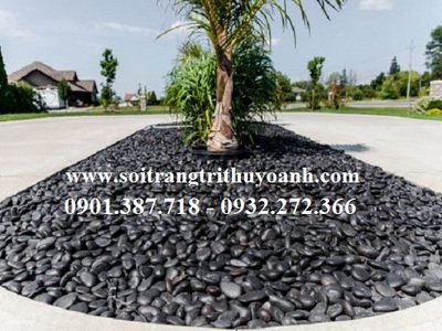 Sỏi đen bóng cấp cho công trình ở Vũng Tàu 8